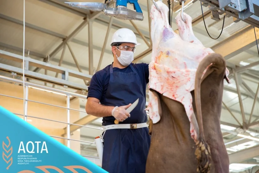 Bakıda Qurban bayramı ilə əlaqədar heyvan kəsimi üçün ayrılan yerlər açıqlanıb - SİYAHI