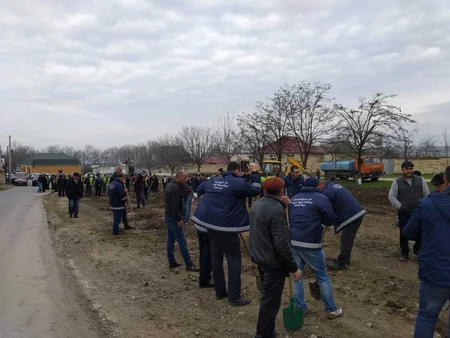 Ağacəkmə aksiyaları zamanı Bakıda 3050, rayonlarda 21770 ağac əkilib