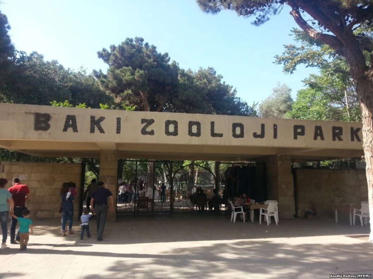 Bakı zooparkı 300 min manatlıq yem alır