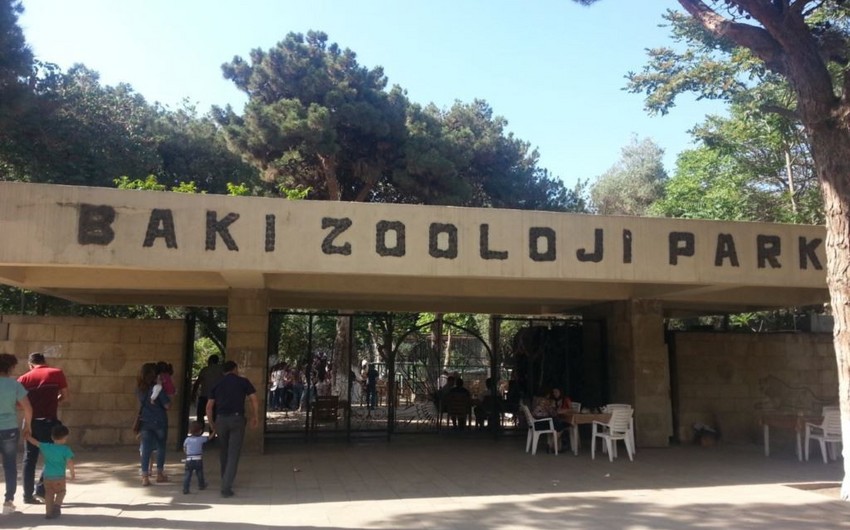 Bakı zooparkı 300 min manatlıq yem alır