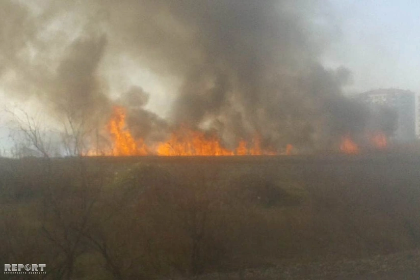 Сильный ветер в Мингячевире привёл к ряду последствий - ВИДЕО - ОБНОВЛЕНО