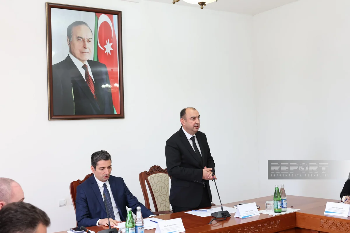 At least 240 hectares of forest to be restored in Azerbaijan's liberated lands