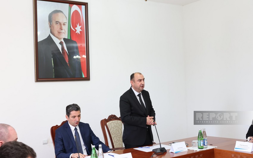 At least 240 hectares of forest to be restored in Azerbaijan's liberated lands