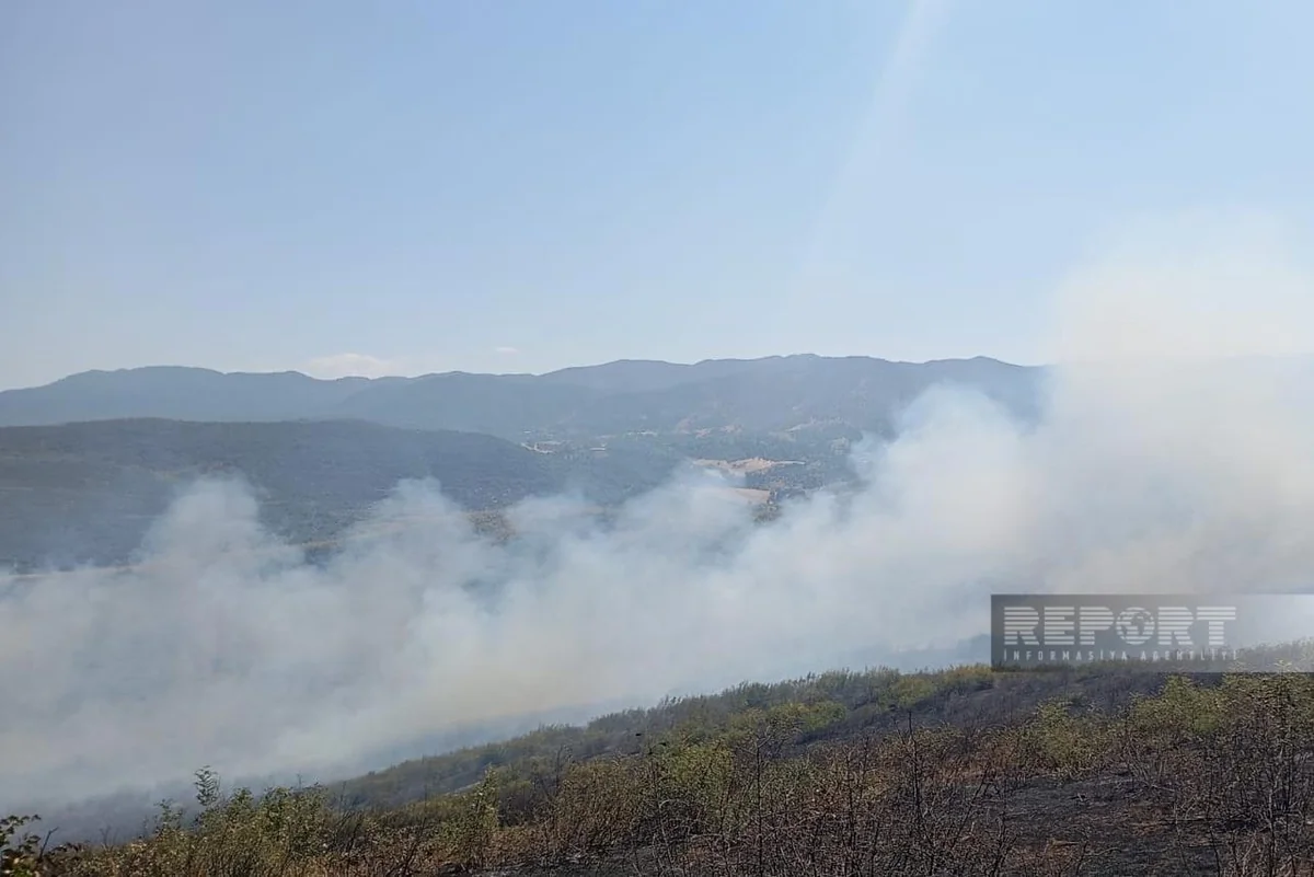 Cəlilabadda dağlıq ərazidəki yanğın tam söndürülüb
