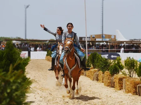 Turkish President watches performance featuring Karabakh horses