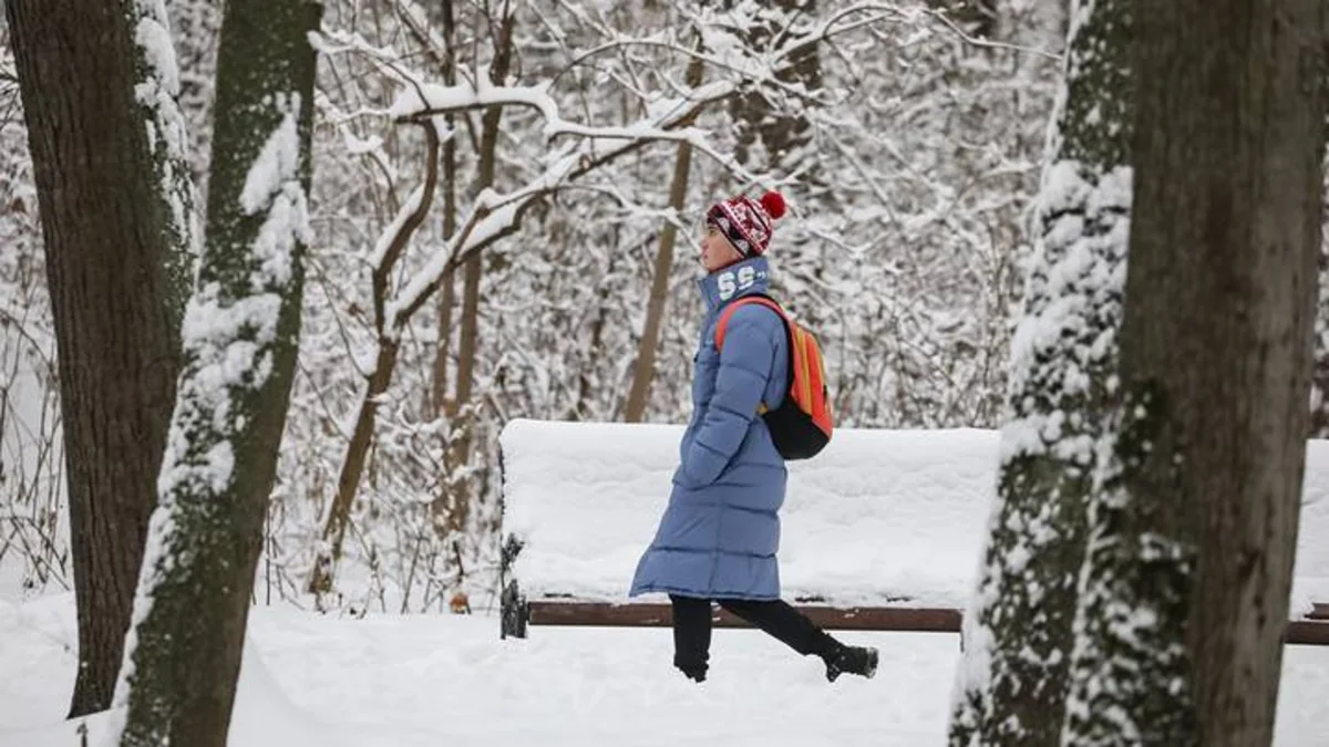Schools switch to distance learning in Kyrgyzstan due to severe frosts