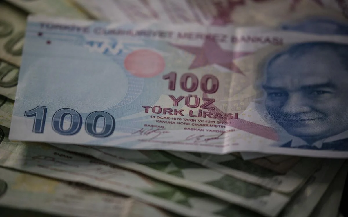 Чистая прибыль дочерней компании PASHA Bank в Турции снизилась на 12%