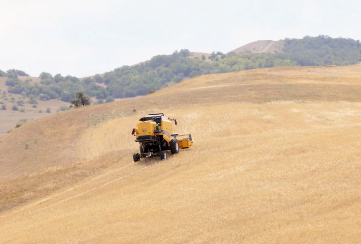 Azerbaijan increases cost of importing grains and legumes from Turkiye by 28%