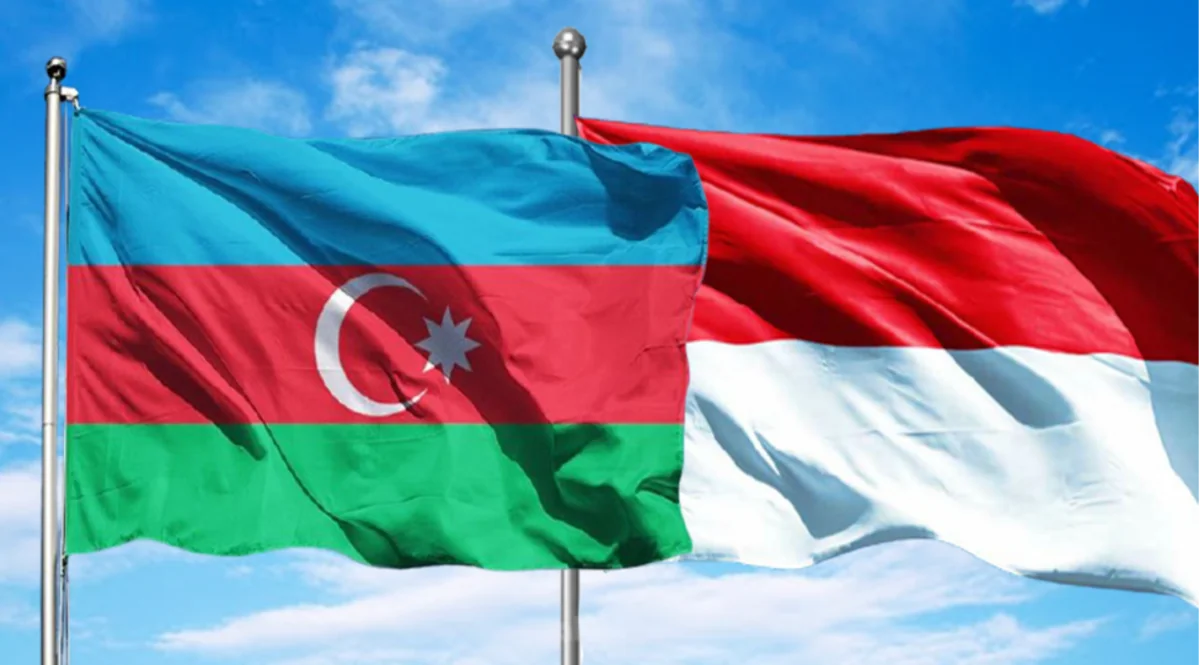 Milli Majlis ratifies visa-free regime for diplomatic, service passport holders between Azerbaijan, Indonesia