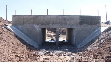 Saatlı rayonunda 19 yaşayış məntəqəsini birləşdirən yol inşa edilir