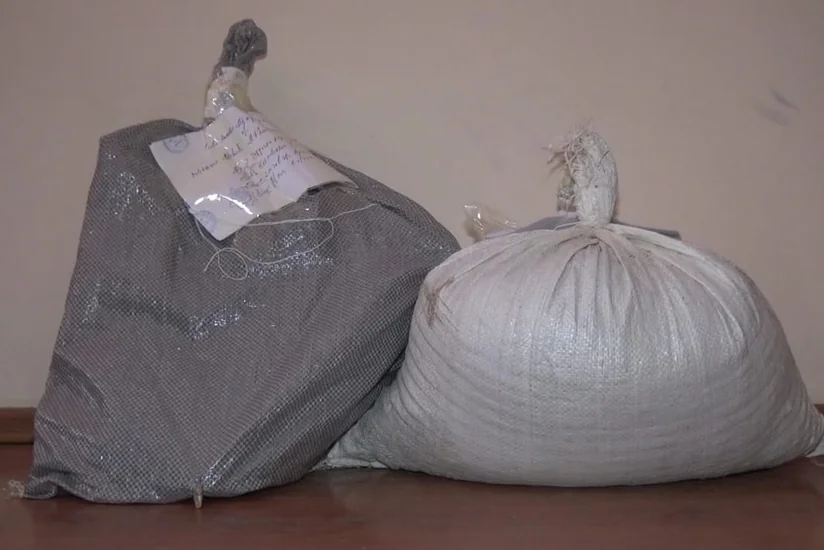 У жителя Агджабеди изъяли кусты конопли и марихуану