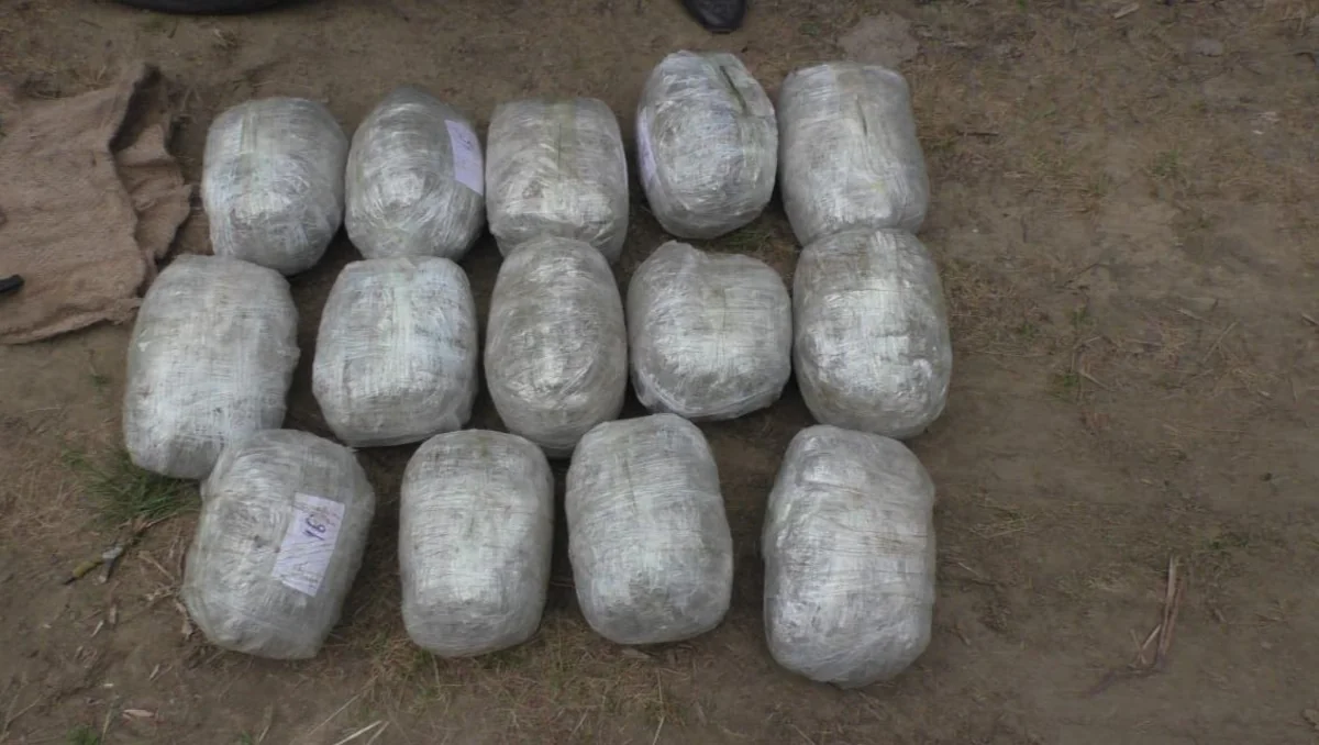 Yardımlıda saxlanılan şəxslərdən 14 kiloqram marixuana aşkarlanıb