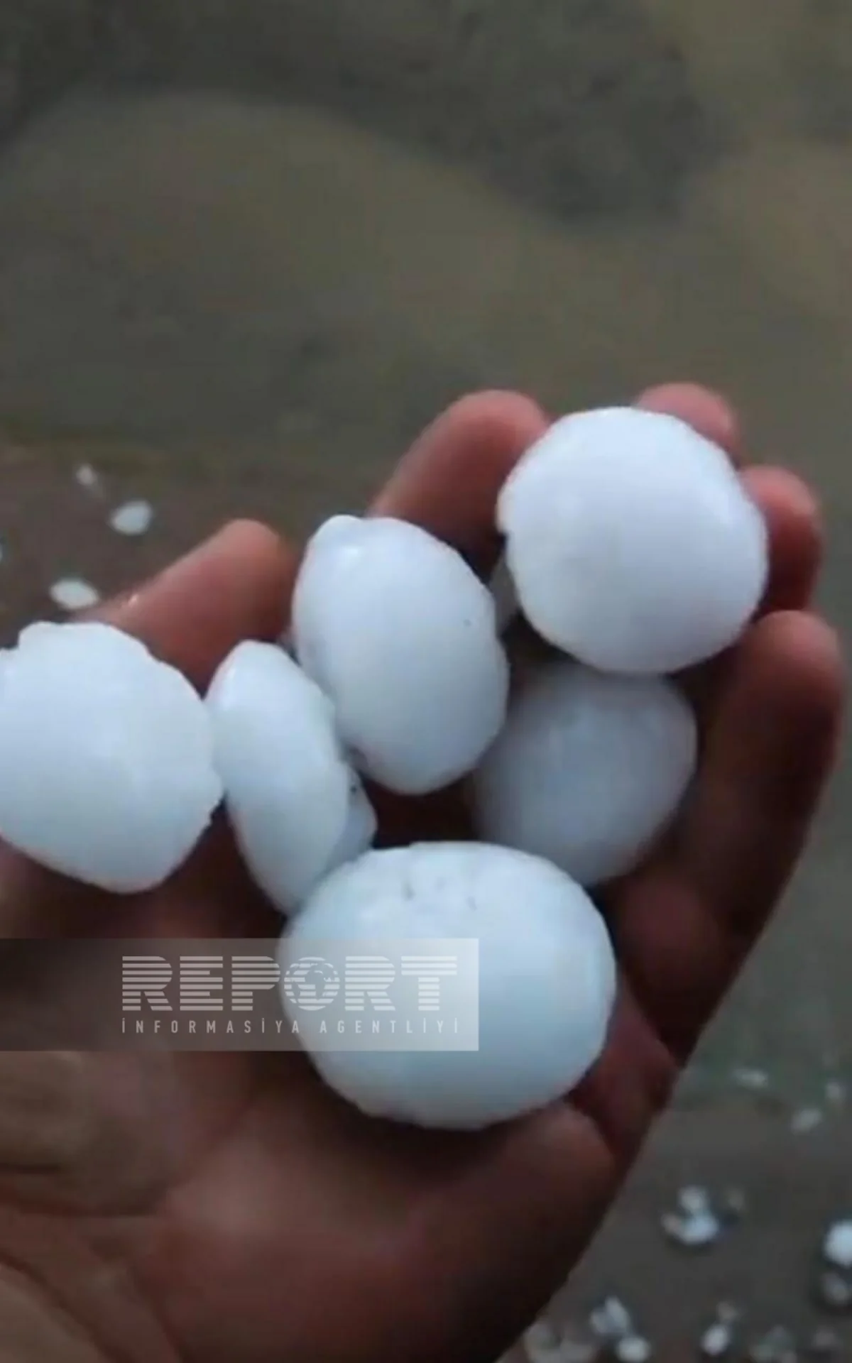 Dolu Gədəbəyin kəndlərində təsərrüfata zərər vurub