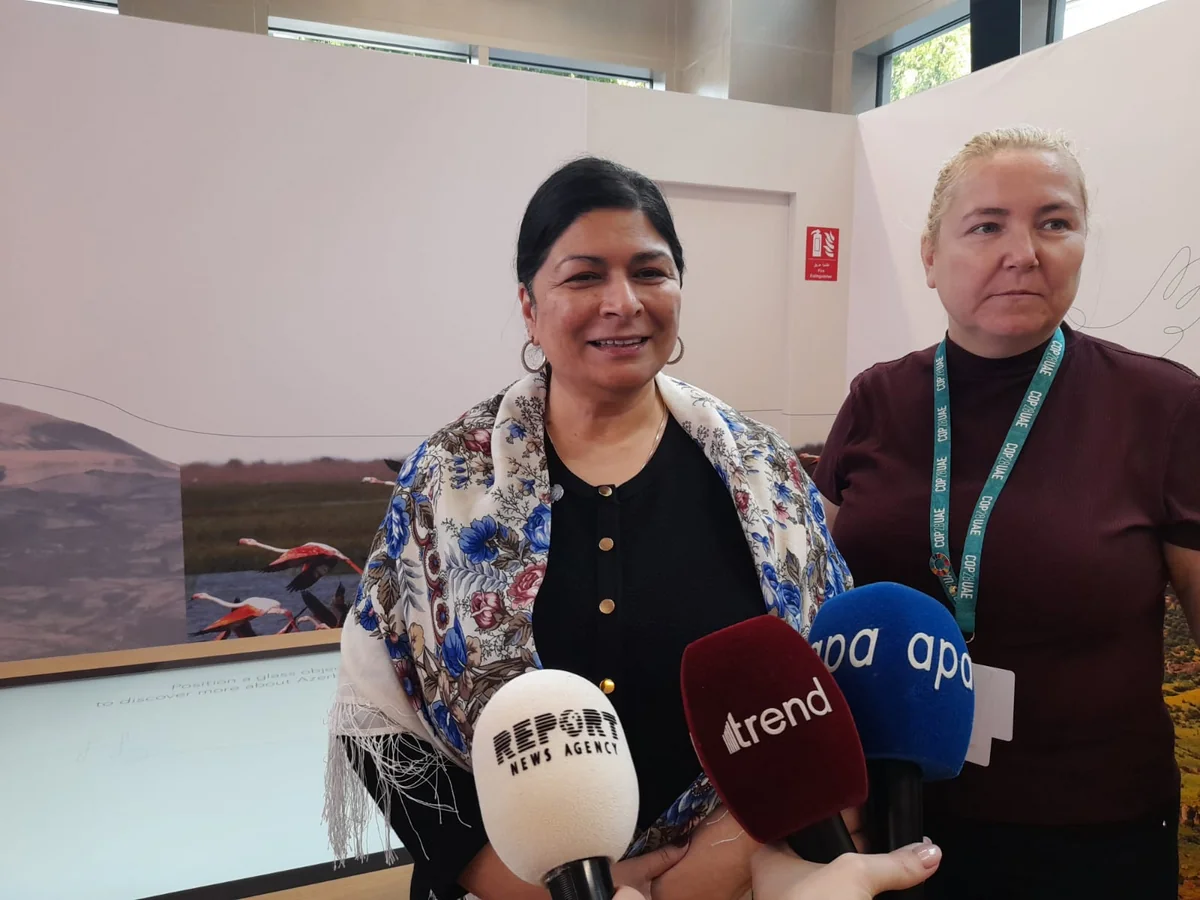 UNFCCC expects joint work with Azerbaijan for successful organization of COP29