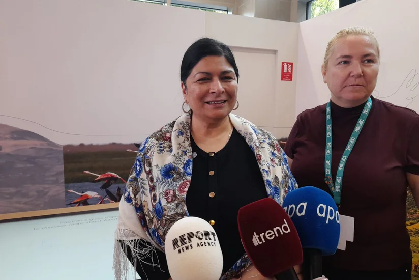 UNFCCC COP29-un uğurlu təşkili üçün Azərbaycanla birgə işləməyi səbirsizliklə gözləyir