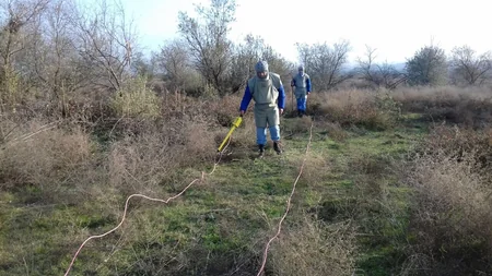 За день в Джоджуг Мерджанлы очищено 1,3 га территории