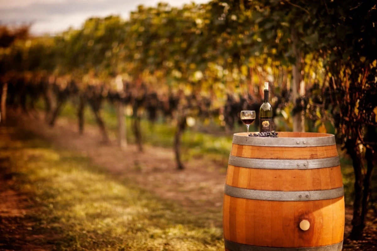 Azərbaycan Ukrayna ilə şərabçılıq sahəsində əməkdaşlıq edəcək