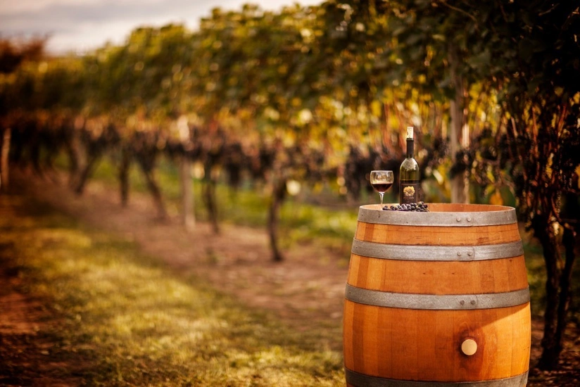 Azərbaycan Ukrayna ilə şərabçılıq sahəsində əməkdaşlıq edəcək