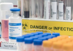 WHO official: Any vaccine brought to Azerbaijan will be useful