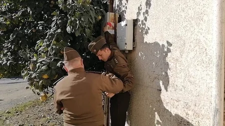 Tovuzda yanğın təhlükəli maye qazdoldurma məntəqəsinin fəaliyyəti dayandırılıb