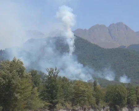 Oğuz rayonu ərazisindəki meşələrdə yanğın baş verib