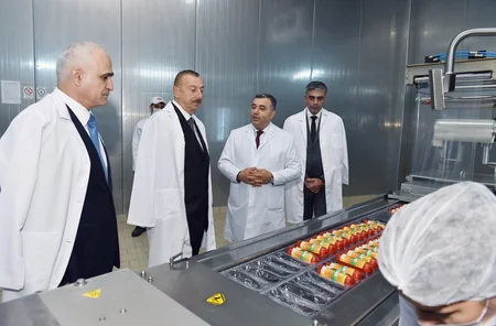 Prezident Abşeron rayonunda “Zəhmət-Ruzi” MMC-nin fəaliyyəti ilə tanış olub