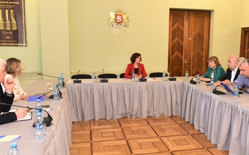 Azərbaycanlı deputat Gürcüstan parlamentinin Etika şurasına üzv seçilib