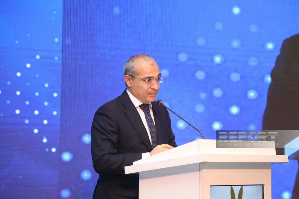 Mikayil Jabbarov: Special approaches are developed for activity of citizens in liberated territories