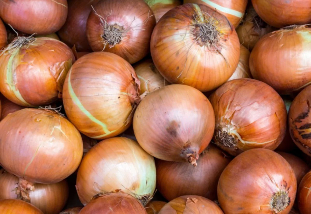 Araz Supermarketin 20 ton soğanı yararsız çıxdı - YENİLƏNİB