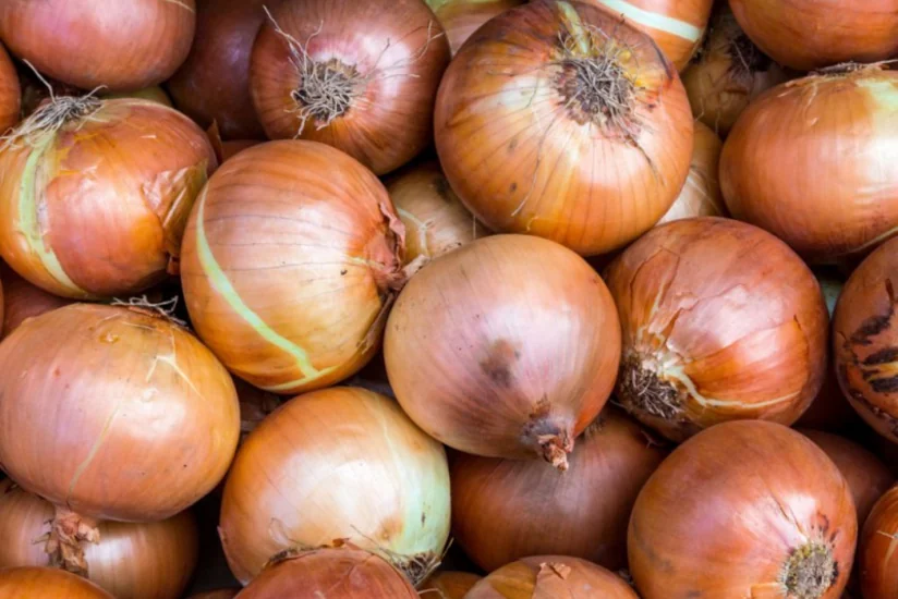 Araz Supermarketin 20 ton soğanı yararsız çıxdı - YENİLƏNİB