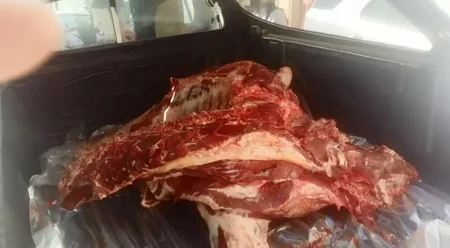 Xaçmazda mənşəyi bəlli olmayan heyvan əti aşkar edilib