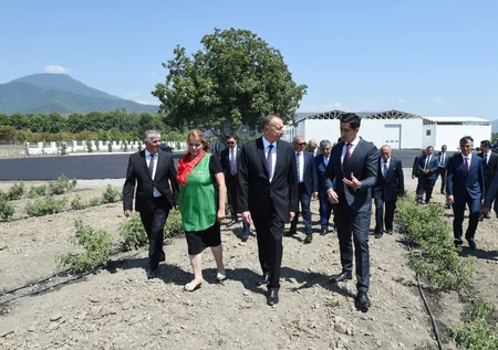 President Ilham Aliyev viewed rose oil plant of AzRose LLC