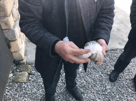 Ağsu sakinindən narkotik vasitələr götürülüb
