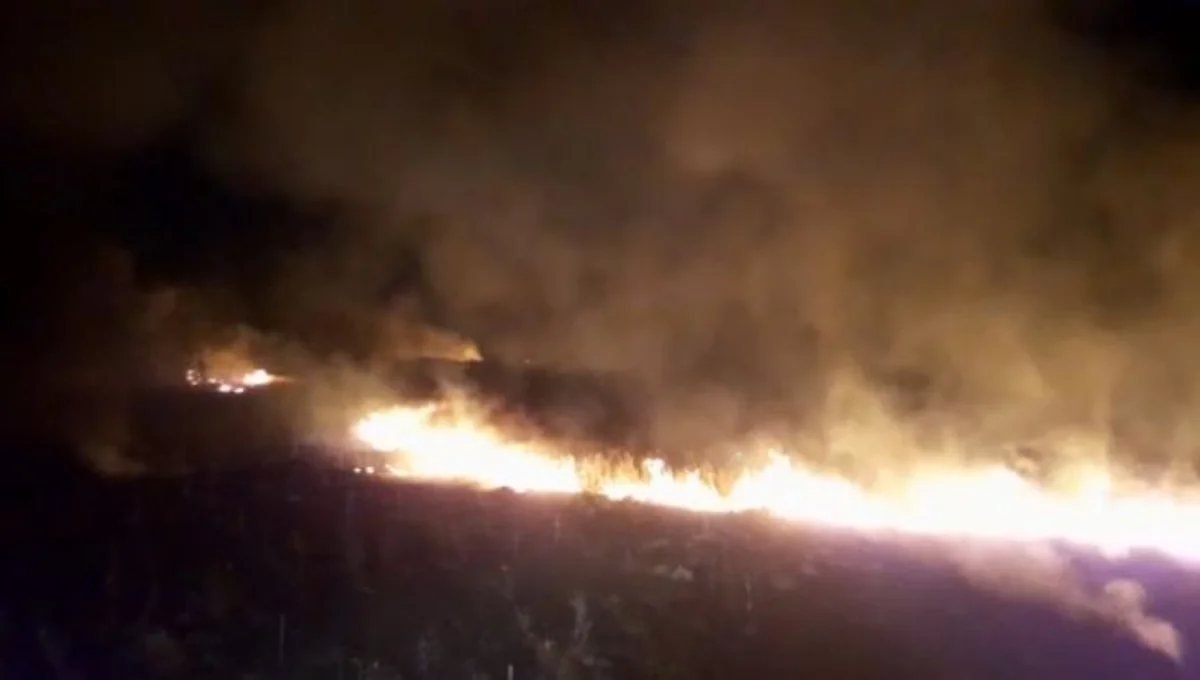 В Азербайджане пшеничное поле сгорело дотла - ВИДЕО