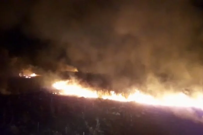 В Азербайджане пшеничное поле сгорело дотла - ВИДЕО