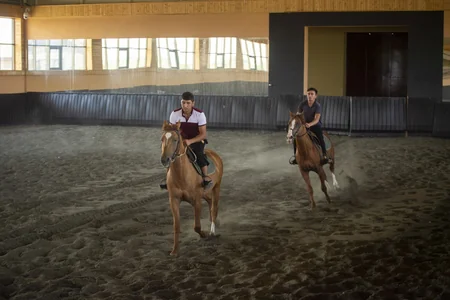 Dünyanın ən gözəl və üstün Qarabağ atları - REPORTAJ