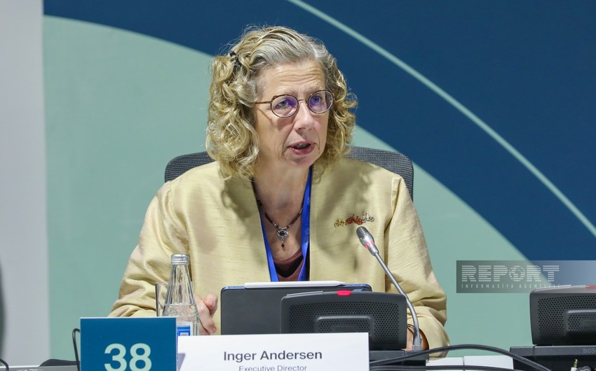 UNEP rəsmisi: 2050-ci ilə qədər bərk məişət tullantıları 85 % artacaq