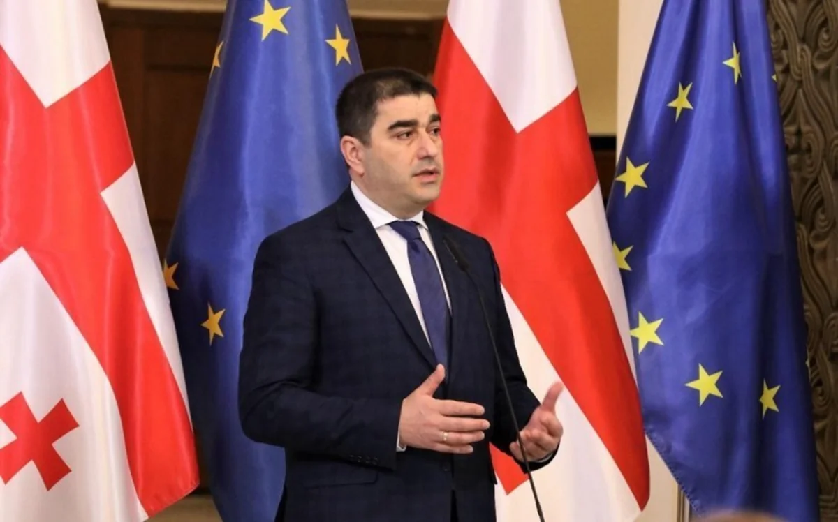 Спикер парламента Грузии назвал несерьезными санкции США