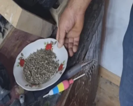 Qəbələdə narkotacir saxlanılıb