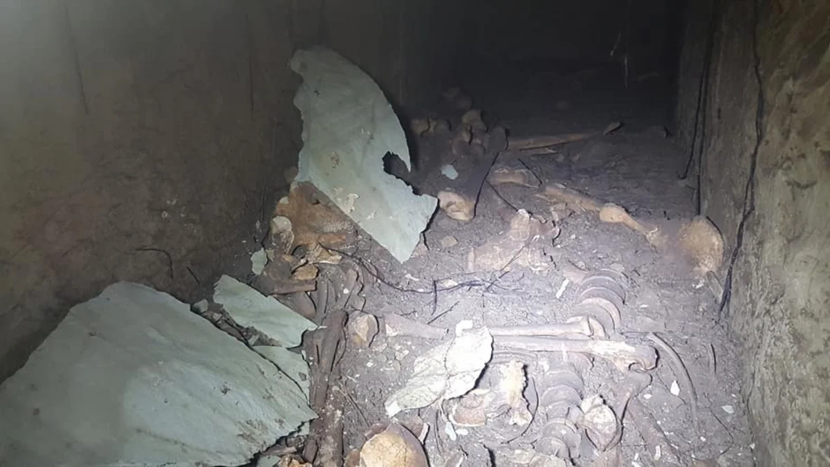 В Грузии в районе компактного проживания азербайджанцев обнаружена древняя могила