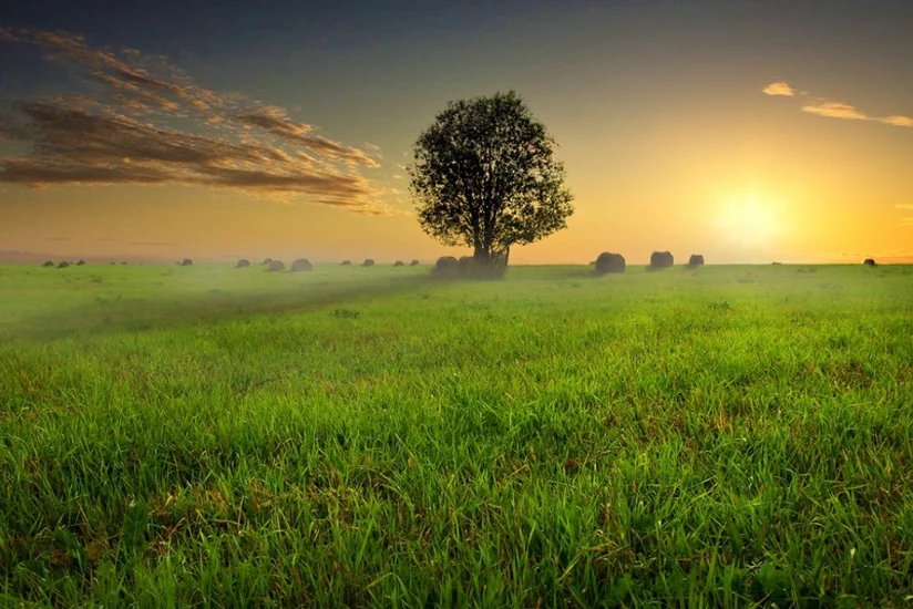 Bazar gününə olan hava proqnozu açıqlanıb