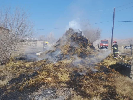 Babək və Şərur rayonlarında yanğınlar olub