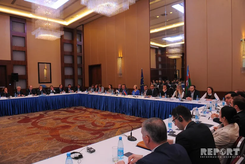 Tvinninq alətinin Azərbaycanda tətbiqinin 10 illiyinə həsr olunmuş konfrans keçirilib