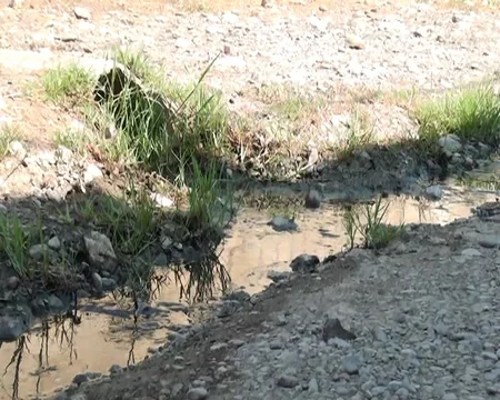 Kürdəmirin mərkəzində antisanitariya: sakinlər kanalizasiya probleminin həllini gözləyir - REPORTAJ