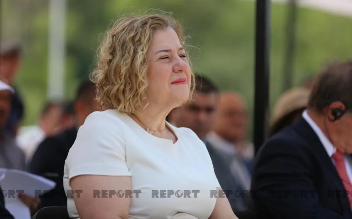 Hande Harmancı: “Azərbaycanda gündəlik yeni yoluxma halları 10 dəfə artıb”