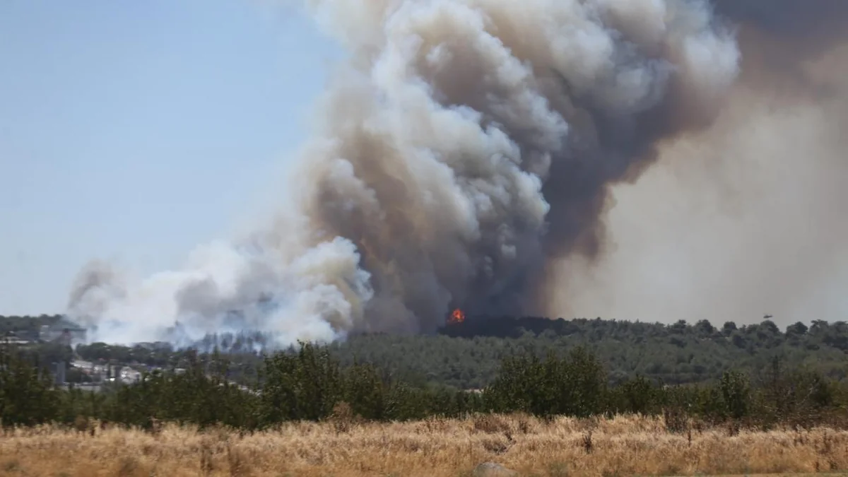 Forest fire breaks out in Türkiyes Canakkale province
