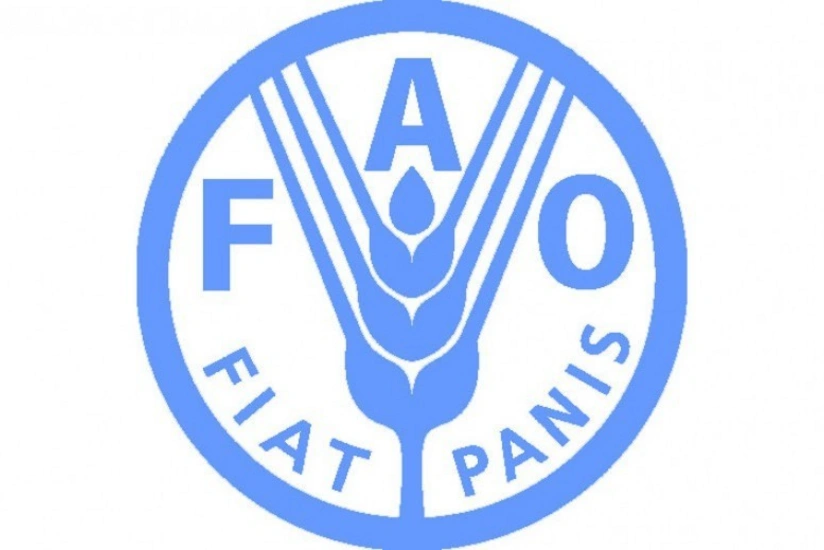 FAO: Ərzaq ucuzlaşmaqda davam edir