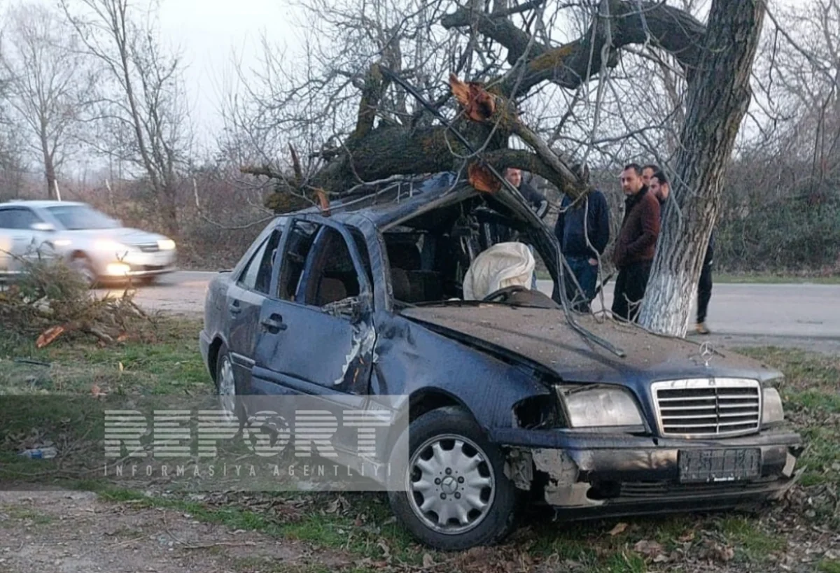 Xaçmazda avtomobil ağaca çırpılıb, ölən və yaralanan var