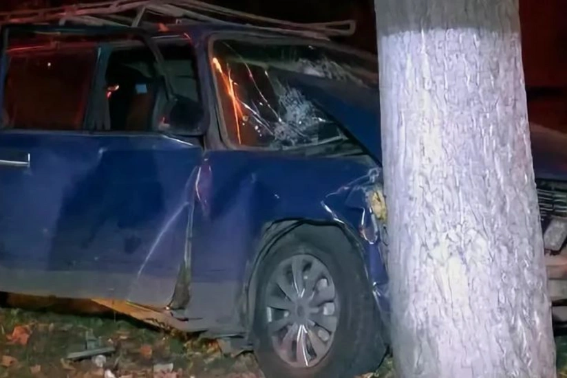 Neftçalada sərxoş sürücü avtomobili ağaca çırpıb