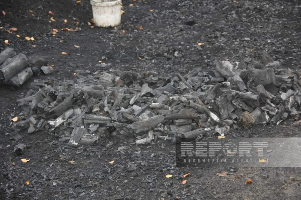 Cəlilabadda qanunsuz kömür quyuları aşkar edilib